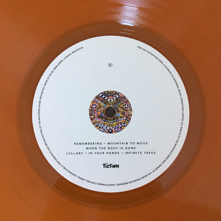 Nick Mulvey : Wake Up Now (LP, Album, Ora)