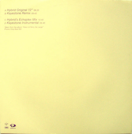Hybrid Featuring Chrissie Hynde : Kid 2000 (2x12", Promo)