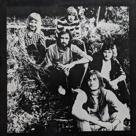 Fleetwood Mac : Fleetwood Mac Greatest Hits (LP, Comp, Gat)