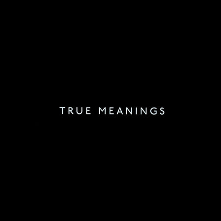 Paul Weller : True Meanings (2xLP, Album)