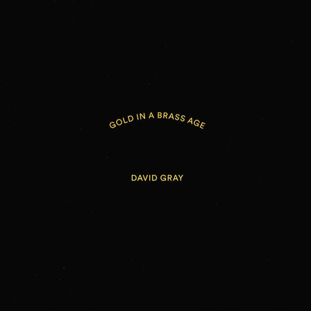 David Gray : Gold In A Brass Age (2xLP, Album)