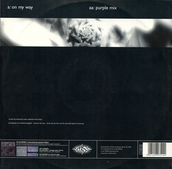Palefield Mountain : On My Way (12")