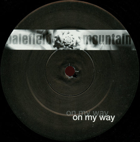Palefield Mountain : On My Way (12")