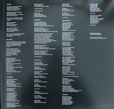 The Electric Soft Parade : Stages (2xLP, Album, Rob)