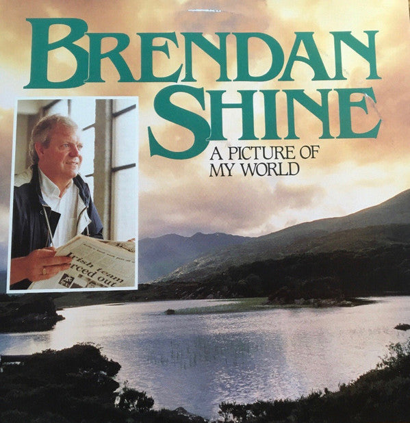 Brendan Shine : A Picture Of My World (LP)