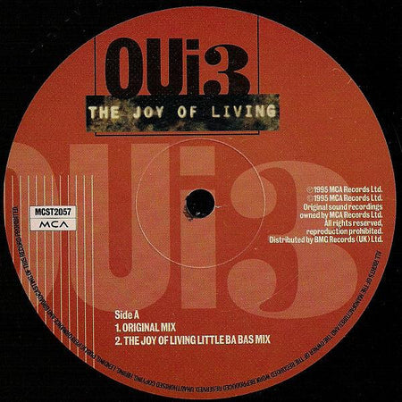 Oui 3 : The Joy Of Living (12", Single)