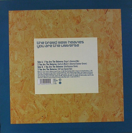 The Brand New Heavies : You Are The Universe (12")