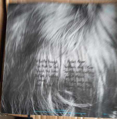 Phil Collins : Face Value (LP, Album, Gat)