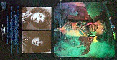 The Jimi Hendrix Experience : Electric Ladyland (2xLP, Album, Blu)