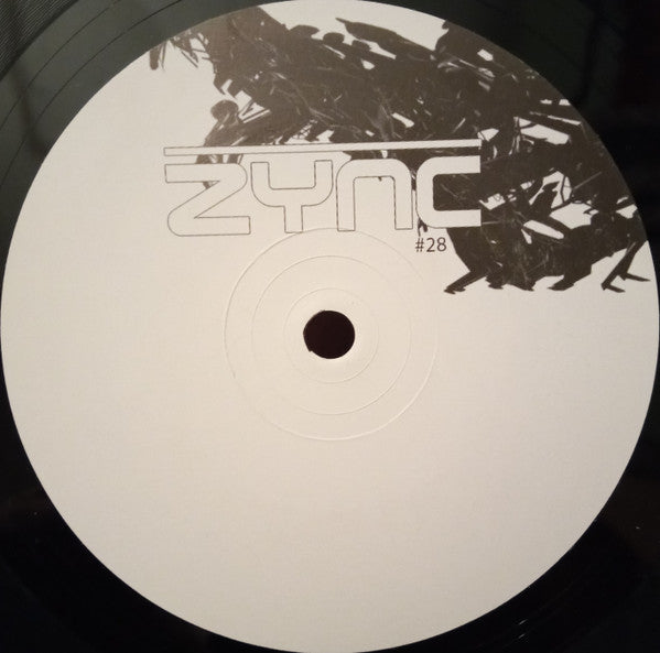 DJ Misjah : Flip The Data EP (12")