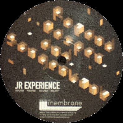 Roland Casper & Sorgenkint : JR Experience (12")