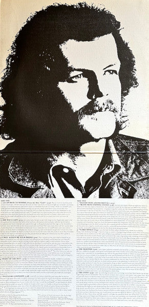 David McWilliams : Lord Offaly (LP, Album)