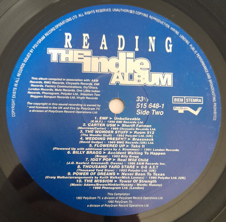 Various : Reading - The Indie Album (LP, Comp)