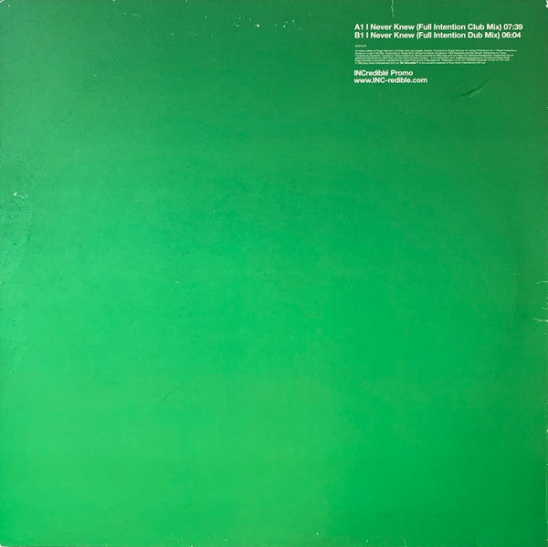 Roger Sanchez Featuring Cooly's Hot Box : I Never Knew (The Full Intention Remixes) (12", Promo)