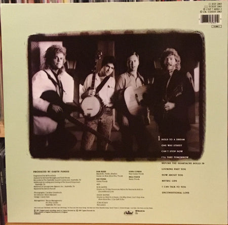 New Grass Revival : Hold To A Dream (LP, Album)