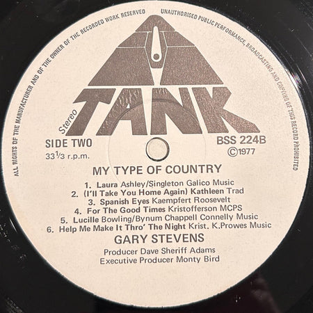 Gary Stevens (16) : My Type Of Country  (LP, Album)