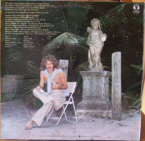 Jay Ferguson : Thunder Island (LP, Album)