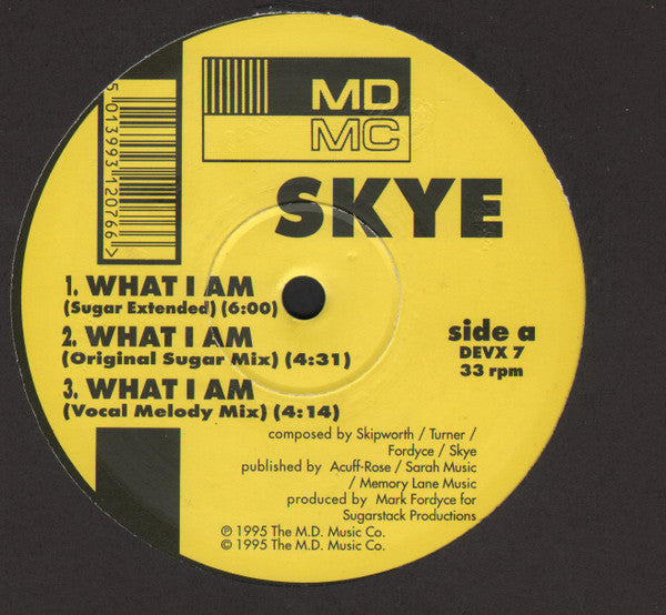 Skye (5) : What I Am (12", Single)