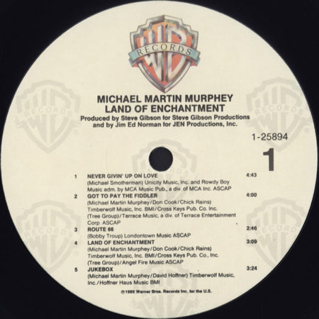 Michael Martin Murphey : Land Of Enchantment (LP)