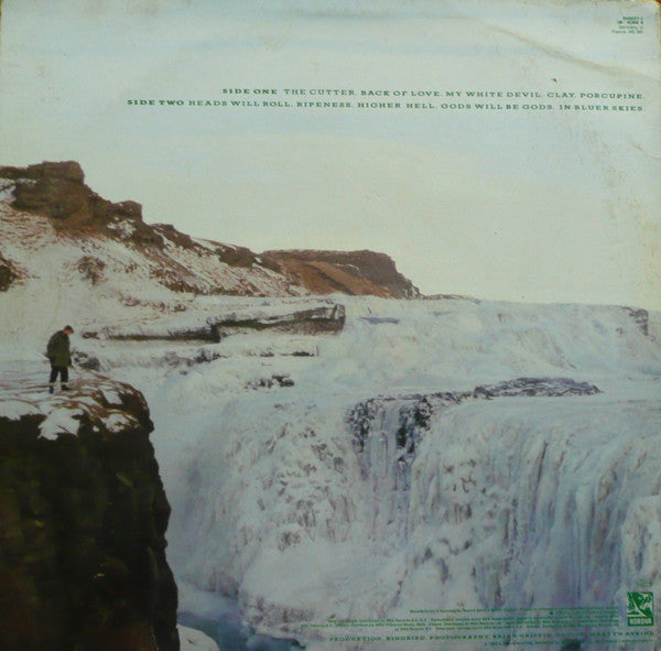 Echo & The Bunnymen : Porcupine (LP, Album)