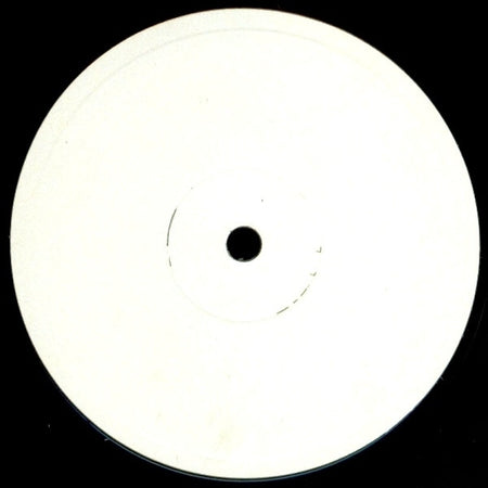 Mauro Picotto : Pegasus (12", Promo, W/Lbl)