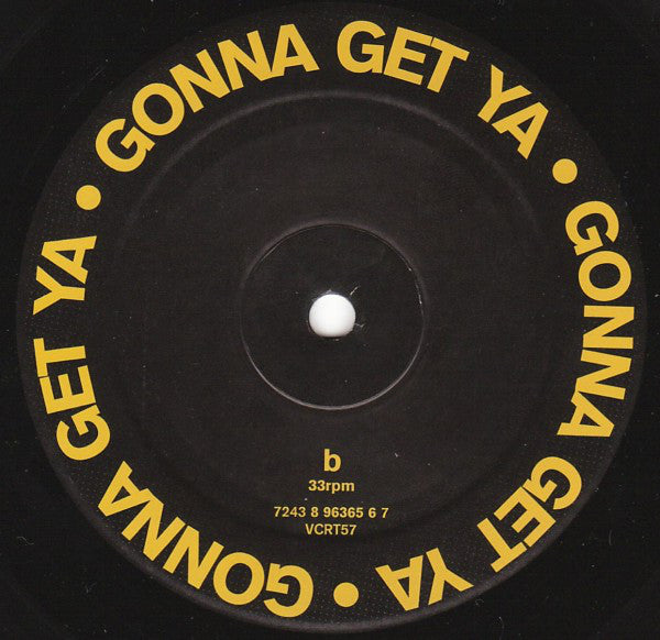 Mauro Picotto : Gonna Get Ya Lizard (12")