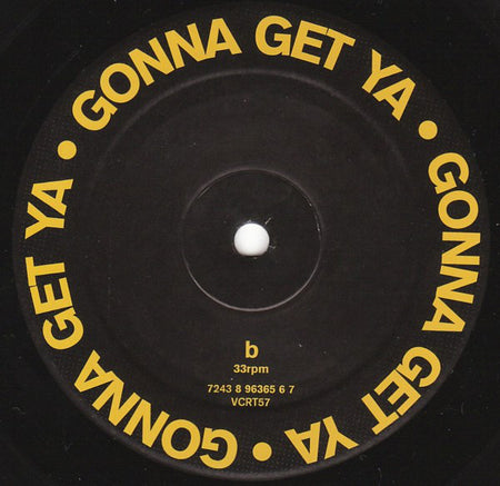 Mauro Picotto : Gonna Get Ya Lizard (12")