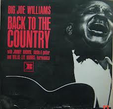 Big Joe Williams With Jimmy Brown (5) And Willie Lee Harris : Back To The Country (LP, Album)
