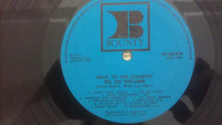 Big Joe Williams With Jimmy Brown (5) And Willie Lee Harris : Back To The Country (LP, Album)