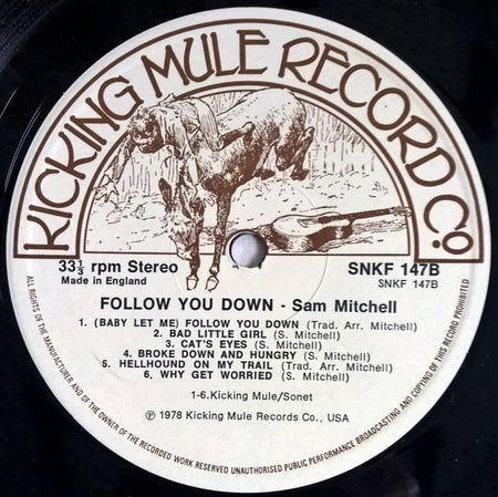 Sam Mitchell : Follow You Down (LP, Album)