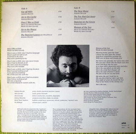 Antonio Breschi : Ode To Ireland (LP, Album)