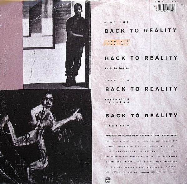 Intelligent Hoodlum : Back To Reality (12")