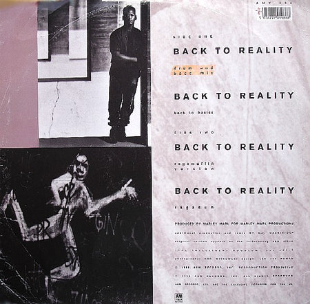 Intelligent Hoodlum : Back To Reality (12")