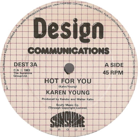 Karen Young : Hot For You (12")