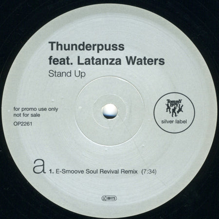 Thunderpuss : Stand Up (E-Smoove Remixes) (12", Promo)