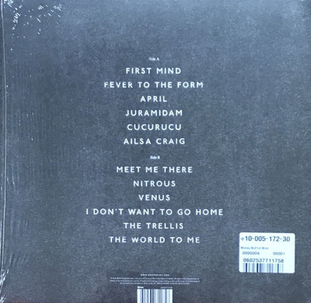 Nick Mulvey : First Mind (LP, Album)