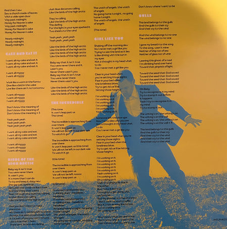 David Gray : Mutineers (2xLP, Album)
