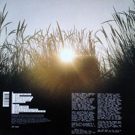 Snow Patrol : Final Straw (LP, Album)