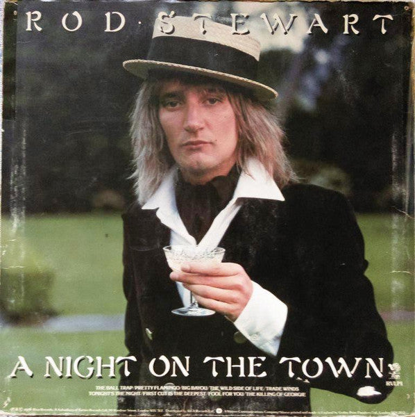 Rod Stewart : A Night On The Town (LP, Album)