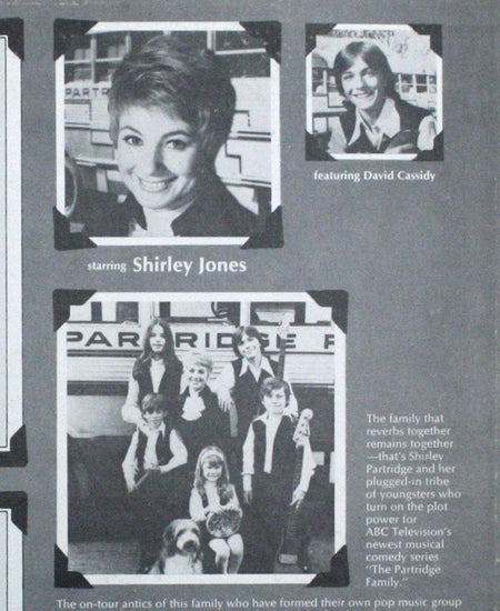 The Partridge Family : The Partridge Family Album (LP, Album, Bes)