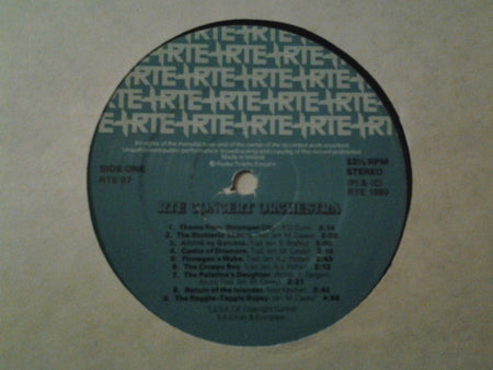 RTÉ Concert Orchestra Conductor  Proinnsías Ó Duinn : RTE Concert Orchestra  (LP, Album)