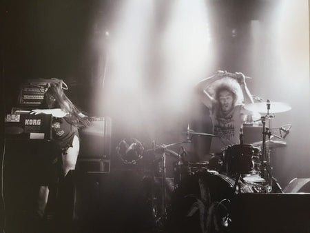 The Dandy Warhols : Distortland (LP, Album)