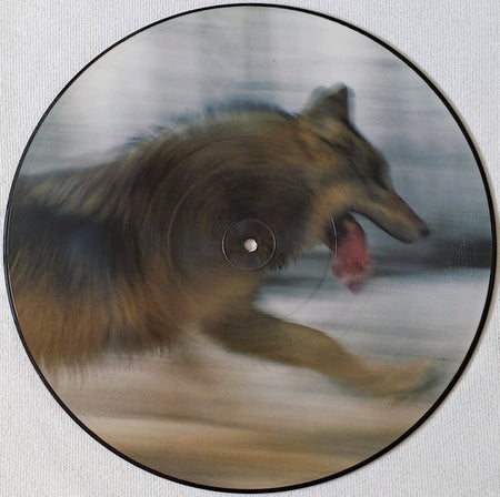 Dave Clarke : The Wolf (12", Single, Ltd, Pic)