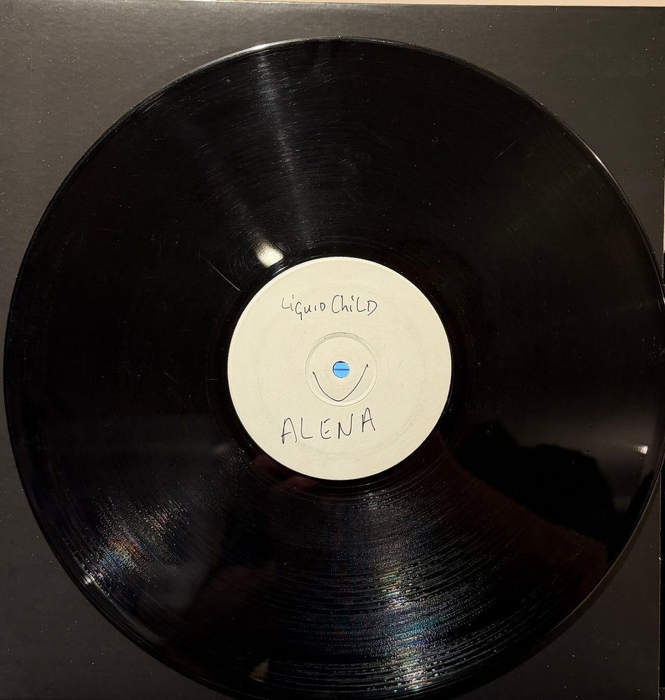 Liquid Child Vs Alena - Hey Mr DJ Turn It Around