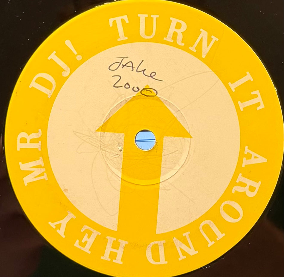 Liquid Child Vs Alena - Hey Mr DJ Turn It Around